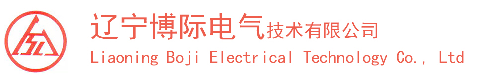 蘇州貝萊爾彈簧制造有限公司